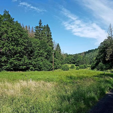 Ferienwohnung Jansen "Eins" Bad Schwalbach Exteriér fotografie